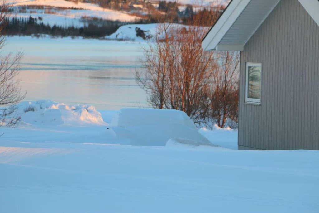 Paradise Near Reykjavik W. Sauna - Northern Lights Villa Mosfellsbaer Exterior photo